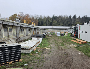 Rekonstrukce haly chovu prasat